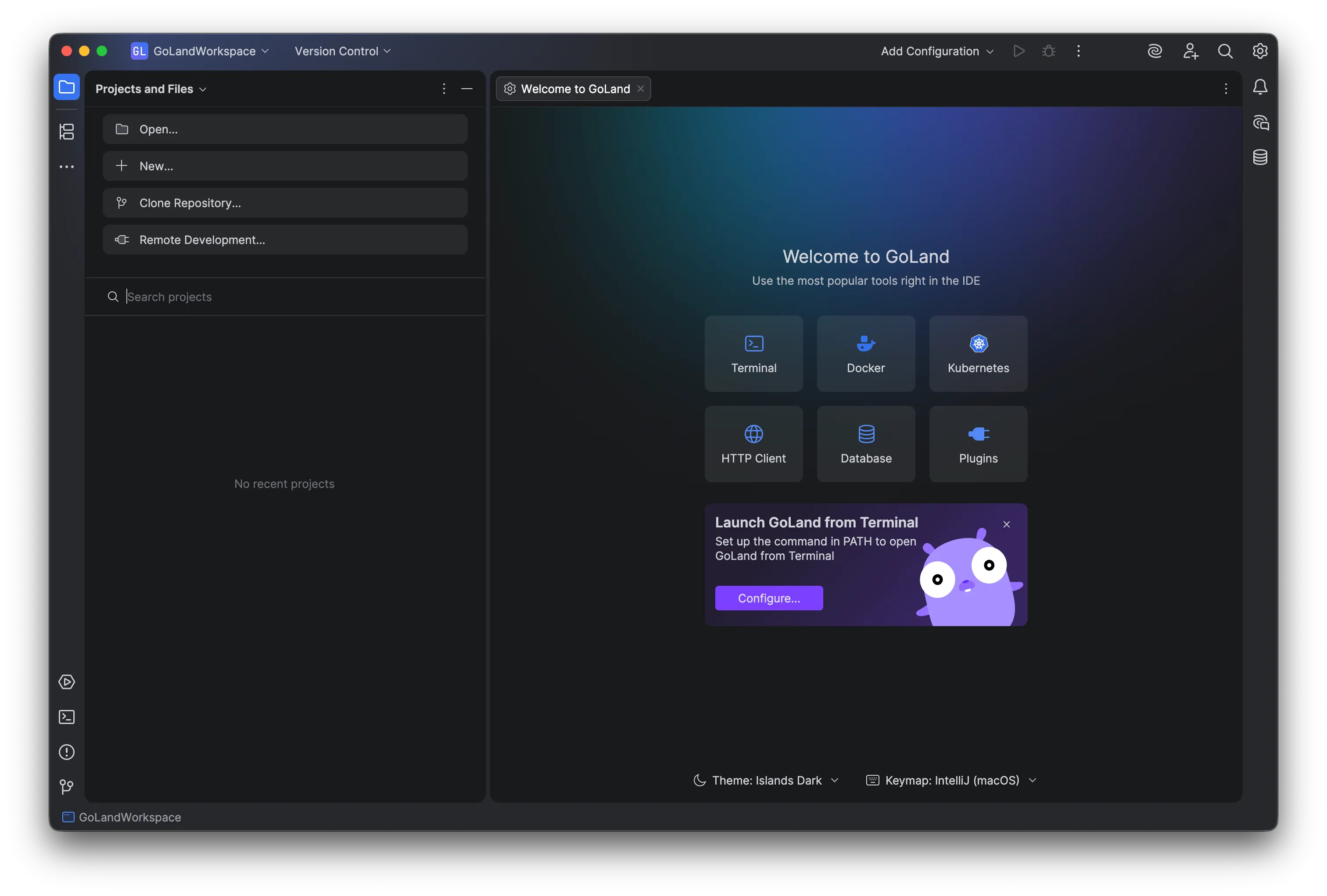 GoLand default screen