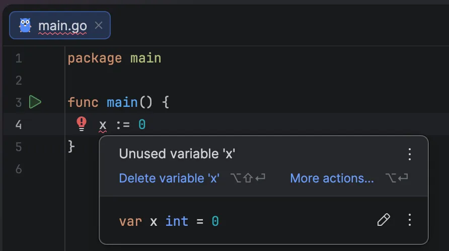 GoLand unused error